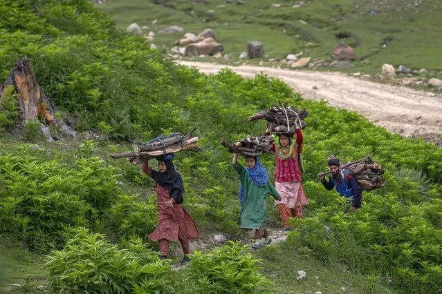 Kashmiri villagers carry firewood collected from nearby forest in Tosamaidan southwest of Srinagar, Indian controlled Kashmir, Monday, June 21, 2021.  Tosamaidan meadow, which used to be artillery firing range for Indian army, in central Kashmir’s Budgam is not only famous for its pastures but favorite tourist destination. (Photo by Dar Yasin/AP Photo)