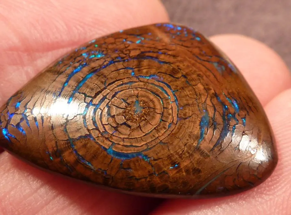 Rare Opalized Wood Metallic Greens 