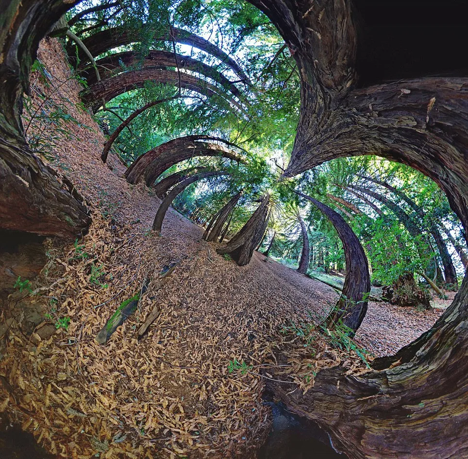 Alternative Perspectives by Randy Scott Slavin Part 1