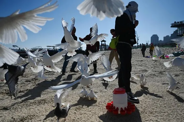 A man feeds his doves on a beach on Pingtan Island, the closest point in China to Taiwan's main island, in China's southeast Fujian province, on January 13, 2024, the day of Taiwan's Presidential election. (Photo by Greg Baker/AFP Photo)