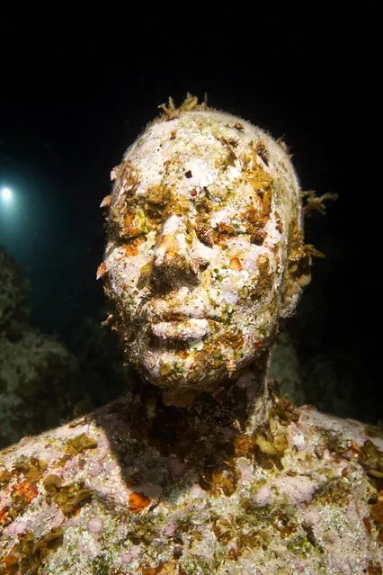 “Night series”. Underwater Sculpture, Museo Subacuático de Arte, Cancun. (Photo by Jason deCaires Taylor/UnderwaterSculpture)