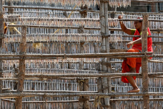 A woman hangs fish to dry on a hot day in Mumbai, India, on April 29, 2024. (Photo by Francis Mascarenhas/Reuters)