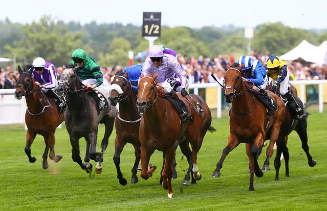 Horse Racing - Royal Ascot - Ascot Racecourse - 17/6/15
Dutch Connection ridden by Jim Crowley wins the 14.30 Jersey Stakes
Reuters / Eddie Keogh
Livepic
