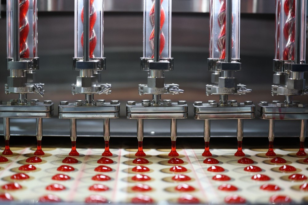 A Look at Life in Japan