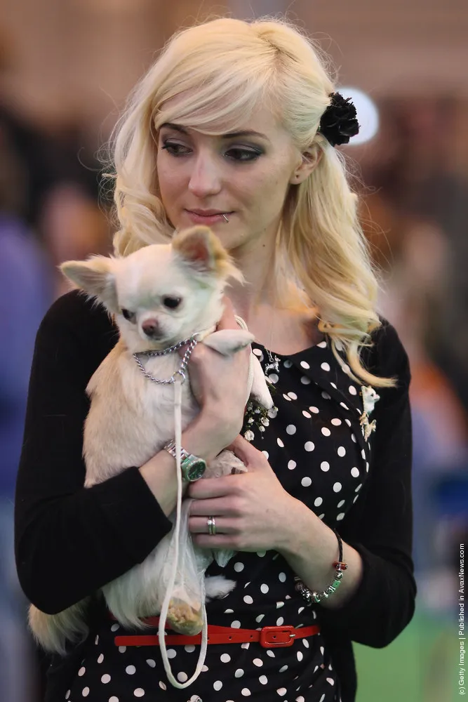 Dogs and Owners Gather for 2012 Crufts Dog Show. Part I