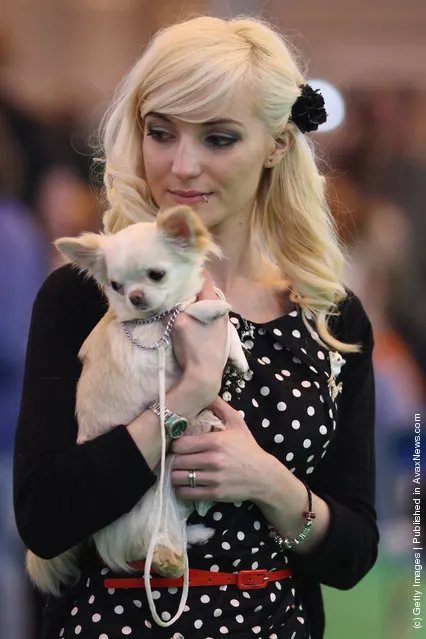 Dogs and their owners attend Day one of Crufts at the Birmingham NEC Arena