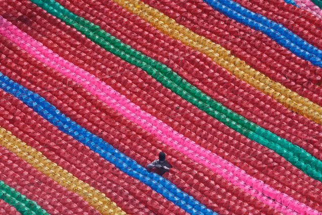 A worker checks the electric wires to hang lanterns for upcoming celebration of Buddha's birthday on May 8 at Jogye temple in Seoul, South Korea, Tuesday, March 22, 2022. (Photo by Ahn Young-joon/AP Photo)