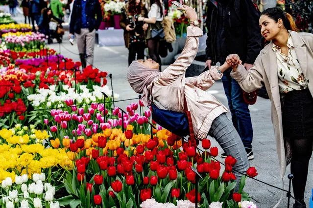 Tourists take selfies among flowers at the Keukenhof garden in Lisse, Netherlands, 24 March 2019. This year's theme of the tourist attraction floral park is “Romance”. (Photo by Robin Utrecht/EPA/EFE)