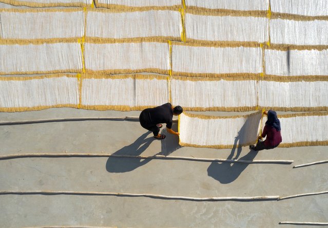 An aerial view of farmers tarhana, a fermented mixture of grain and yoghurt or fermented milk they harvest during scorching heat in Kahramanmaras, Turkiye on September 02, 2024. Tarhana, which is made by cooking wheat called “dovme” or “dogme” in a cauldron and then mixing it with sour and fatty yoghurt, is mostly prepared in July and August in Kahramanmaras due to the favourable climate. The tarhana, which is dried in special wickerwork containers called “cig”, is called “firik” in the region because it can be eaten before it is completely dry. Maras tarhana is exported to many parts of the world. (Photo by Ahmet Aslan/Anadolu via Getty Images)