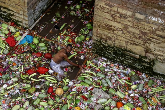 A volunteer segregates the fruits and vegetables offered by the Hindu devotee couples after they took a holy dip in the sacred Lolark Kund well, with the wish to be blessed with a child, during the Lolark Shasthi festival, in Varanasi on September 9, 2024. Each year 25 million babies are born in India, the world's most populous nation, but for desperate couples wanting also to be parents, prayers at a sacred Hindu well bring hope. (Photo by Niharika Kulkarni/AFP Photo)