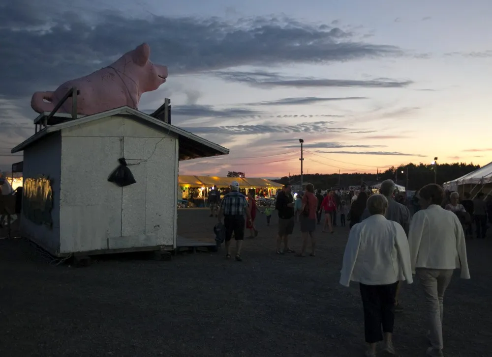 Pig Festival in Canada