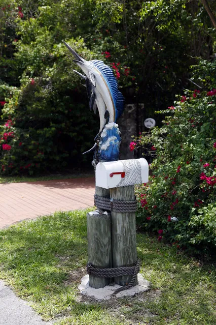 A mailbox decorated with a model fish is seen along the highway US-1 in the Lower Keys near Key Largo in Florida, July 10, 2014. (Photo by Wolfgang Rattay/Reuters)