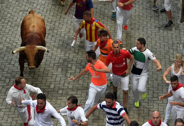 Runners sprint alongside Pedraza de Yeltes fighting bulls near the entrance to the bullring during the fourth running of the bulls at the San Fermin festival in Pamplona, northern Spain, July 10, 2016. (Photo by Eloy Alonso/Reuters)