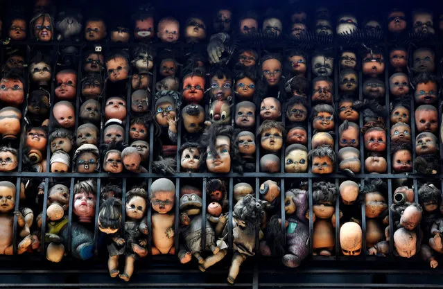 Dolls are seen on the balcony of artist and collector Etanis Gonzalez in Caracas, Venezuela, July 16, 2016. (Photo by Carlos Jasso/Reuters)