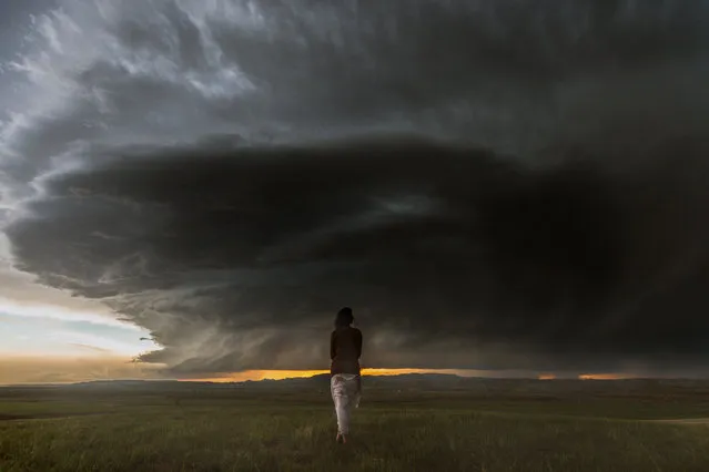 Broadus and Beauty – Daow looking at the storm. (Photo by Nicolaus Wegner/Caters News)