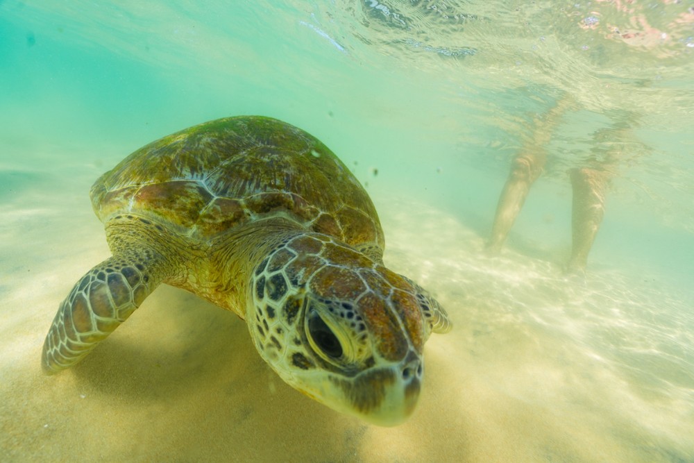 Some Photos: Waterworld