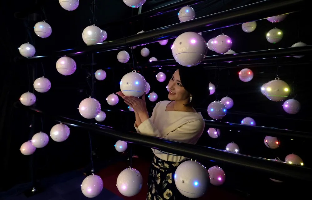 The Day in Photos – February 13, 2018