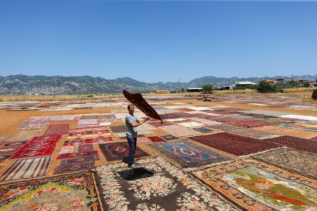 A worker is seen spreading handwoven carpets across open fields in the Dosemealti district of Antalya, Turkiye, as part of a traditional process to naturally fade the colors under the summer sun, on June 18, 2025. The carpets, dyed with plant-based pigments and woven on original looms, are collected from across the country. This seasonal tradition not only preserves Anatolian craftsmanship but also transforms the fields into a vibrant, living gallery of Turkish textile heritage. (Photo by Suleyman Elcin /Anadolu via Getty Images)