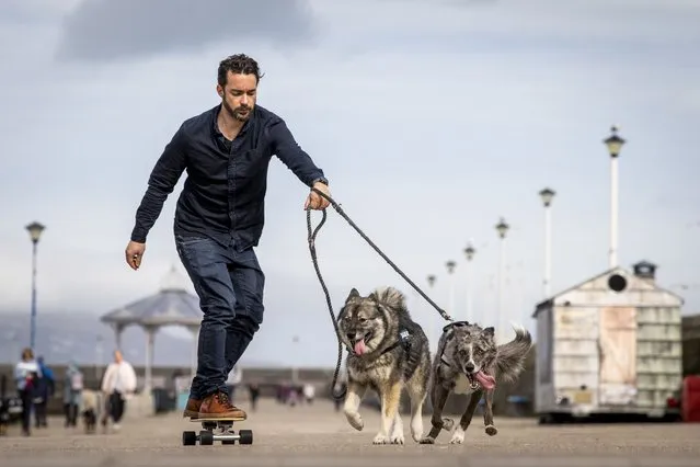 Jack Morley skateboards with his dogs, Mystic, a Norwegian Elkhound, and Astra, a Collie, on the pier in Dún Laoghaire, Co Dublin, Ireland on March 20, 2023. (Photo by Tom Honan/The Irish Times)