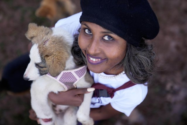 Feven Melesein, 29-years-old, holds a dog that was abandoned on the streets of the capital, Addis Ababa, Ethiopia, Sunday, September 7, 2025. (Photo by Brian Inganga/AP Photo)