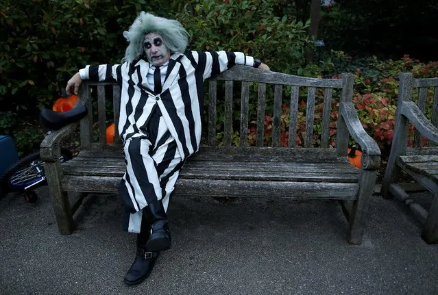 Brad Weston, dressed up as the character "Beetlejuice" waits on a bench for the visitors to arrive at the Night of 1,000 Jack-o'-Lanterns event at the Chicago Botanic Garden in Glencoe, Illinois, U.S., October 21, 2016. (Photo by Jim Young/Reuters)