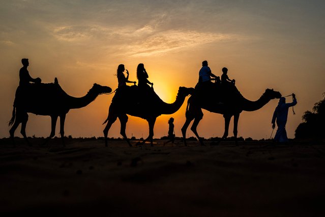 Tourists ride camels at a desert resort in Dubai at sunset on October 19, 2025. (Photo by Jewel Samad/AFP Photo)