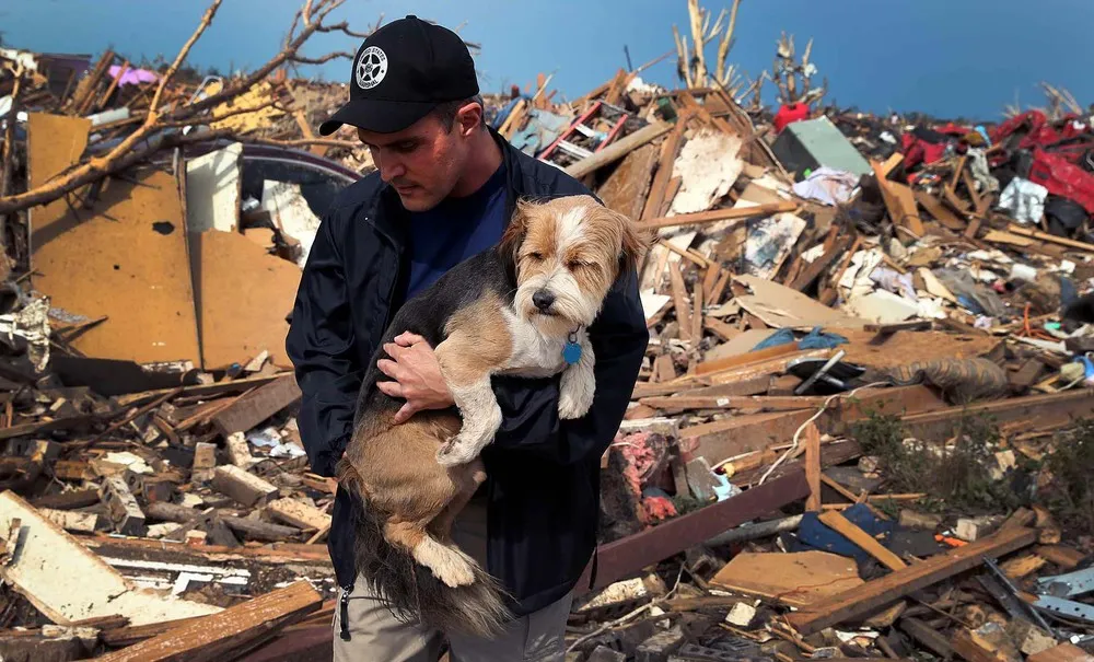Animals that Survived in the Oklahoma Tornadoes