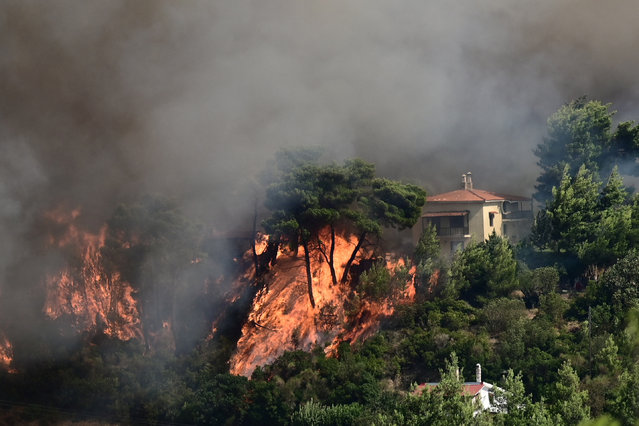 Flames rise next to a house as a wildfire burns in Varnava, near Athens, Greece on August 11, 2024. (Photo by Michalis Karagiannis/Eurokinissi via Reuters)