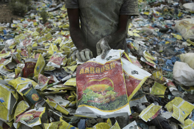 An Indian rag picker sorts plastic bags at an industrial area on the outskirts of Jammu, India, Tuesday, June 5, 2018. The U.N. says government bans on plastic can be effective in cutting back on waste but poor planning and follow-through have left many such bans ineffective. (Photo by Channi Anand/AP Photo)