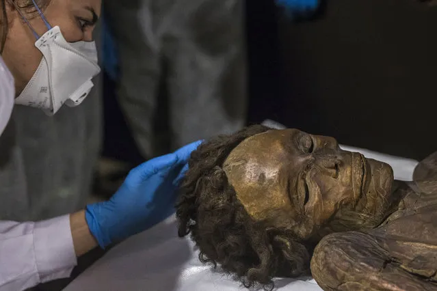 An archaeologist observes the “Guanche Mummy of Barranco de Herques” upon its arrival at National Museum of Archeology in Madrid, Spain on December 14, 2015. The mummy was moved from Anthropology Museum, where it has stayed for more than 100 years. The mummy is the best well-preserved example of a man who was found in Tenerife, Canary Islands, in 1776. Guanche is an original inhabitant of Canary Islands. The mummy will be part of an exhibition focused on Canary's prehistory. (Photo by Emilio Naranjo/EFE via ZUMA Press)