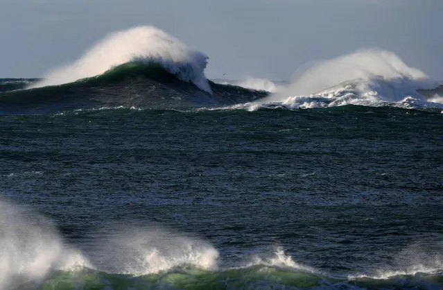 A picture taken on February 10, 2017 shows big waves generated by the Nazare canyon as small ones break on Nazare's shore. The Nazare Canyon is an undersea geological formation just off the coast of Nazare, central Portugal, in the Eastern Atlantic Ocean. It has a maximum depth of at least 5,000 meters (16,000 ft) and is about 230 kilometres (140 mi) long, and has the ability of generate 30 meters plus (100 ft) waves. (Photo by Francisco Leong/AFP Photo)