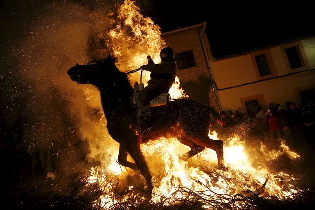 A man rides a horse through the flames during the "Luminarias" annual religious celebration on the eve of Saint Anthony's day, Spain's patron saint of animals, in the village of San Bartolome de Pinares, northwest of Madrid, Spain, January 16, 2016. According to tradition that dates back 500 years, people ride their horses through the narrow cobblestone streets of this small village to purify the animals with the smoke of the bonfires. (Photo by Susana Vera/Reuters)