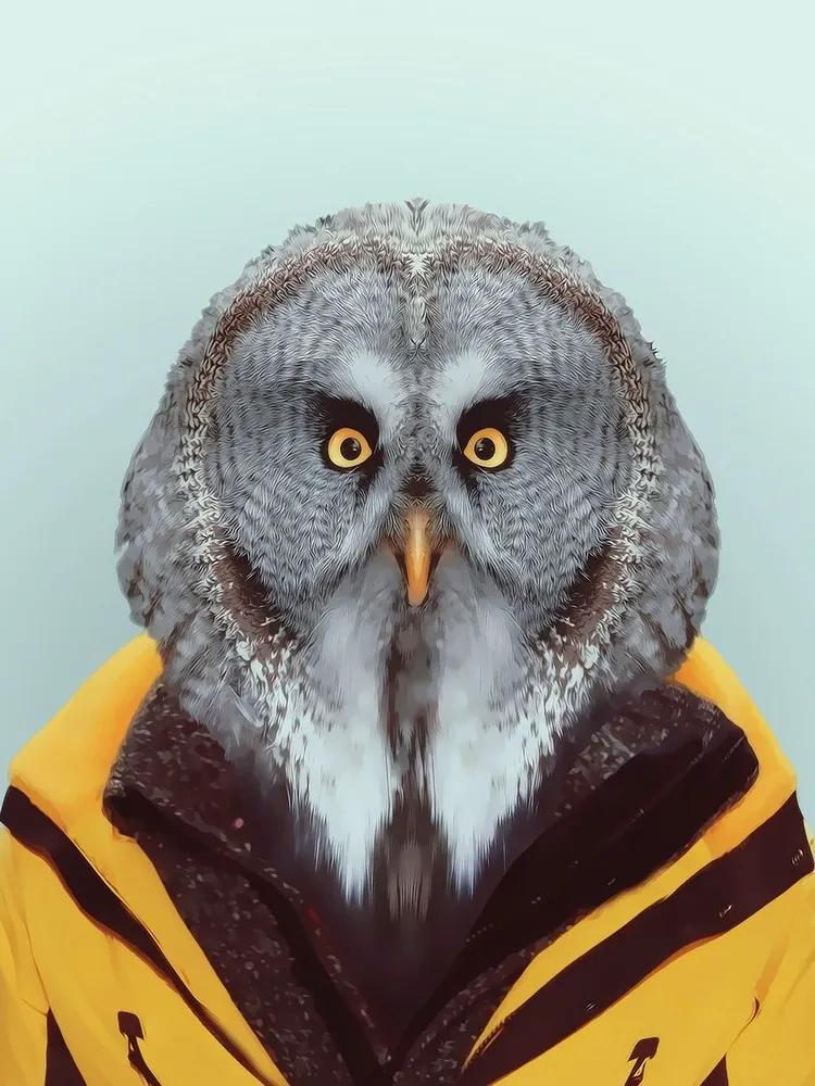 Zoo Portraits by Yago Partal. Part 2