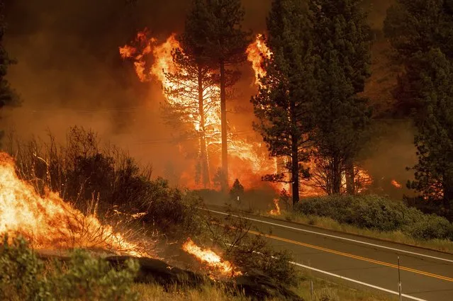 The Tamarack Fire burns in the Markleeville community of Alpine County, Calif., on Saturday, July 17, 2021. (Photo by Noah Berger/AP Photo)