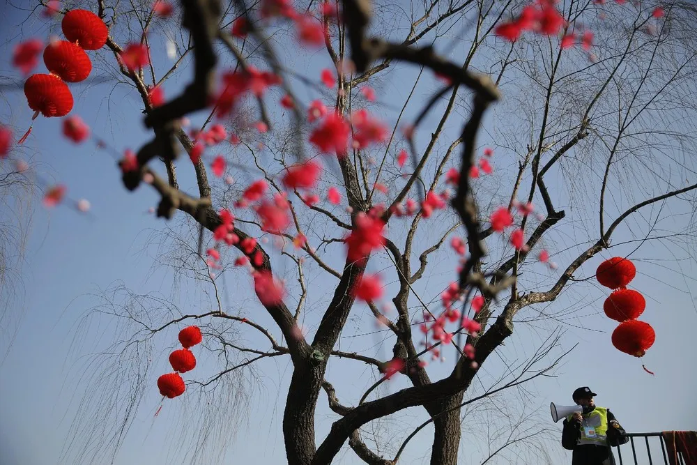 Lunar New Year in Beijing