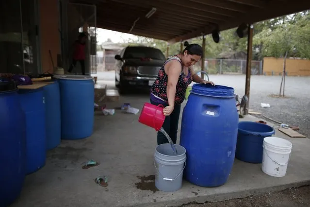 Marisela Corona, 26, whose well has run dry, pours water from a tank on her back porch in Porterville, October 14, 2014. (Photo by Lucy Nicholson/Reuters)