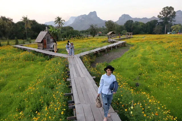 Tourists walk in a flower field in Lopburi province, Thailand on December 18, 2018. (Photo by Ann Wang/Reuters)