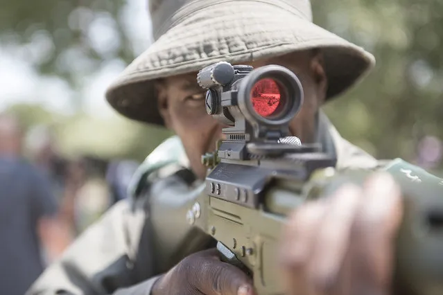 A member of the Anti Paoching Unit takes aim with his rifle at the Southern African Wildlife College, Kruger National Park, South Africa, 08 March 2016. Members of the Anti Poaching Unit had the opportunity of interacting with members of the media where they gave a presentation. (Photo by Shiraaz Mohamed/EPA)