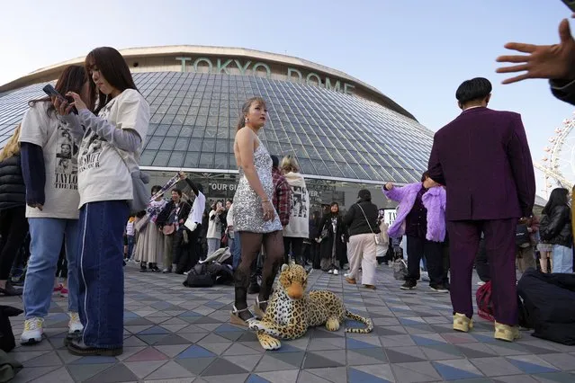 A woman poses for a photo with a stuffed animal of a leopard before Taylor Swift's concert at Tokyo Dome in Tokyo, Saturday, February 10, 2024. (Photo by Hiro Komae/AP Photo)