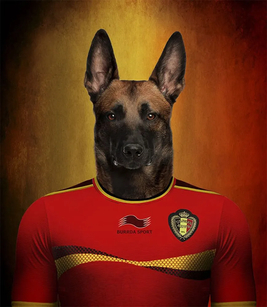 Dogs of Word Cup Brazil 2014