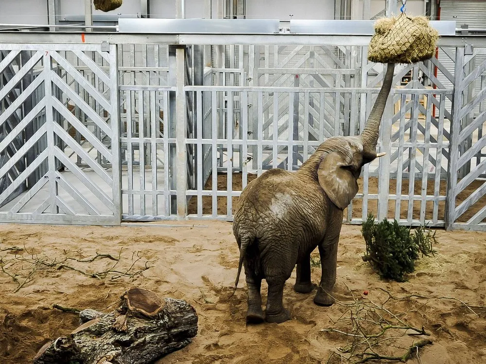 The Week in Pictures: Animals, February 22 – February 28, 2014