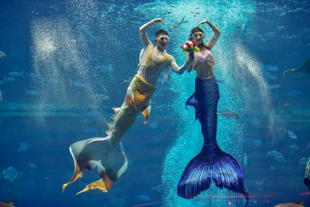 Divers wearing mermaid costumes take part in the first Chinese Mermaid Performance Contest at Atlantis resort on December 21, 2021 in Sanya, Hainan Province of China. (Photo by Luo Yunfei/China News Service via Getty Images)