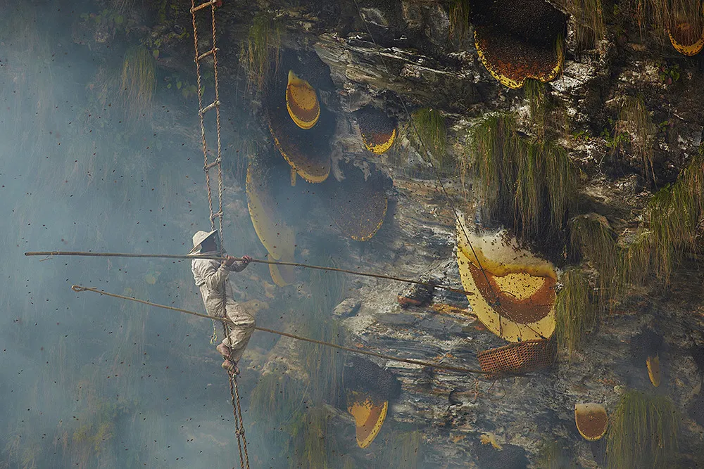 Ancient Traditional Honey Hunters of Nepal