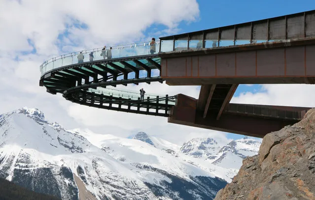 Visitors take in the opening day of the Glacier Skywalk near Alerta's Columbia Icefields in Jasper National Park Thursday May 1, 2014. (Photo by Gavin Young/Calgary Herald)