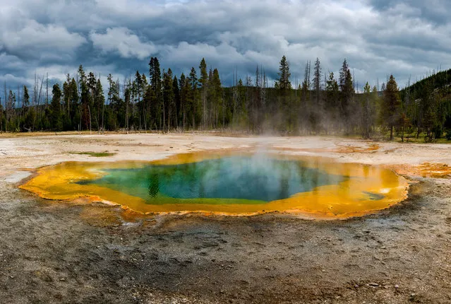 The pools steam and bubble, reminding you that this volcano is well overdue an eruption, taken in May 2016, in Yellowstone National Park, Wyoming, United States. The extraterrestrial-looking mineral-rich pools are caused by bacteria and thermophiles growing around the edges, creating the striking colours. The heat from three super eruptions thousands of years ago still powers the parks geysers, hot springs, fumaroles and mud pots, indicating how frighteningly active this volcano is directly under visitors feet. (Photo by Russell Pearson/Barcroft Images)