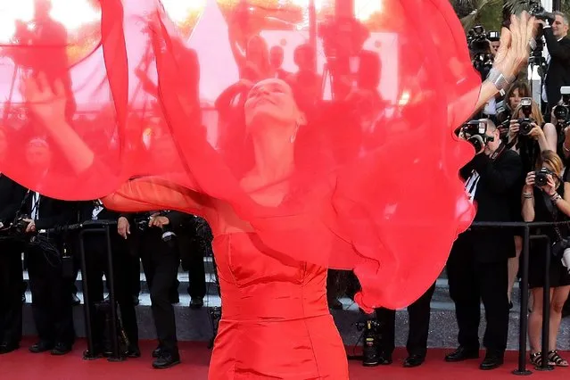 Brazilian actress Sonia Braga poses as she arrives on May 21, 2016 for the screening of the film “Elle” at the 69th Cannes Film Festival in Cannes, southern France. (Photo by Valery Hache/AFP Photo)