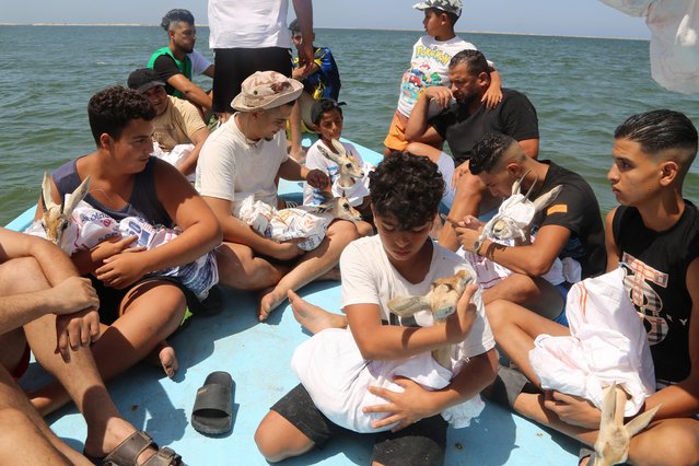 Local NGO activists from Bessida, cradle eight Rhim gazelles wrapped in protective blankets, during a short boat ride to Farwa Island, just west of the port town of Zuwara, about 160 kms West of Tripoli on July 17, 2024. Eight young individuals, one male and 8 females, were released on Farwa Island, their new permanent home by Bessida, a local NGO active in environmental conservation and marine biodiversity protection. (Photo by Mahmud Turkia/AFP Photo)