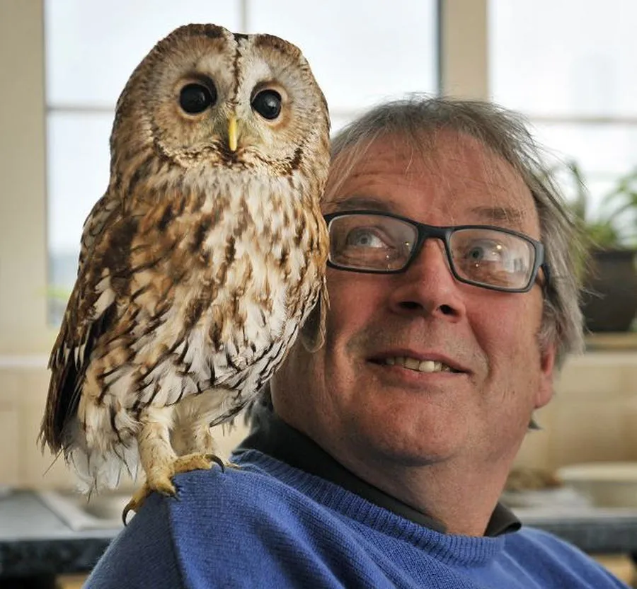 Bertie Agoraphobic Owl