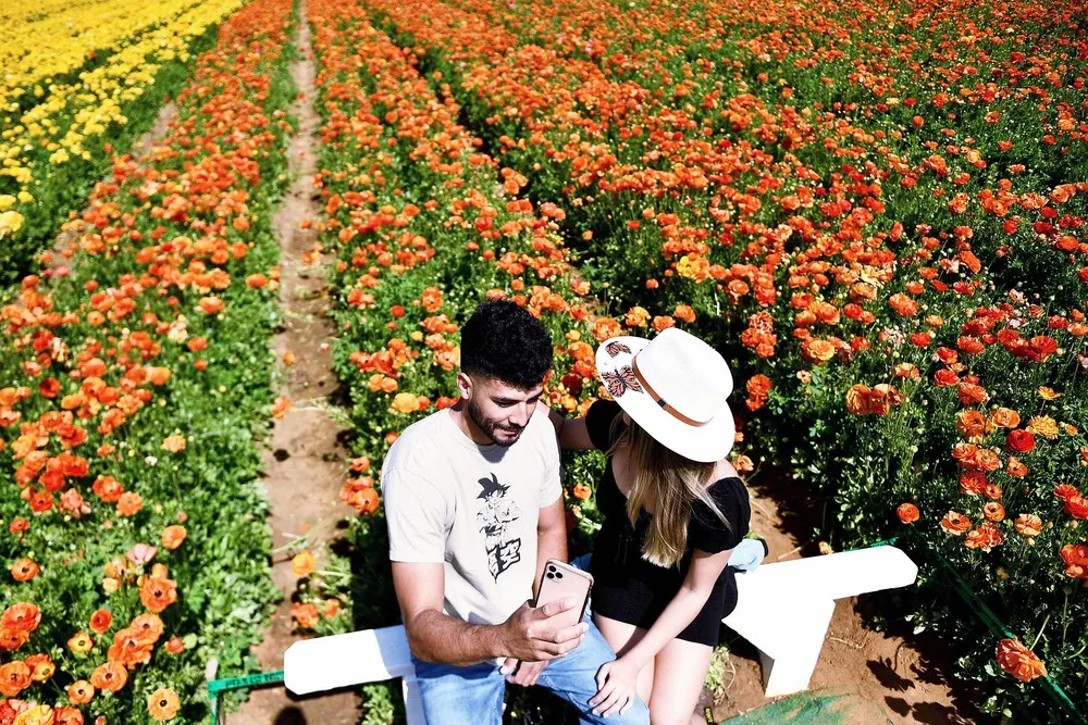 Some Photos: In Flowers