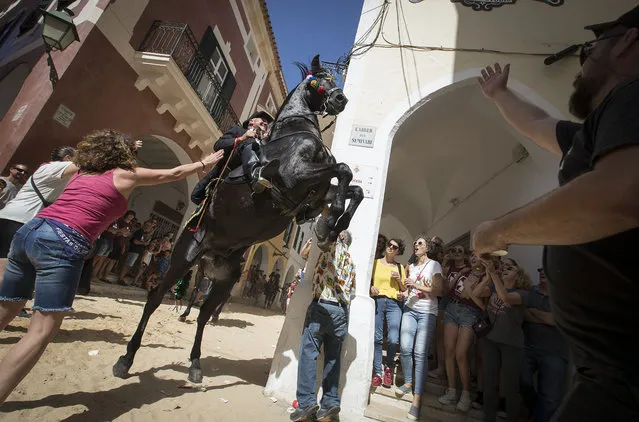 A horse rears in the crowd during the traditional San Juan (Saint John) festival in the town of Ciutadella, on the Balearic Island of Minorca, on the eve of Saint John's day on June 23, 2022. (Photo by Jaime Reina/AFP Photo)